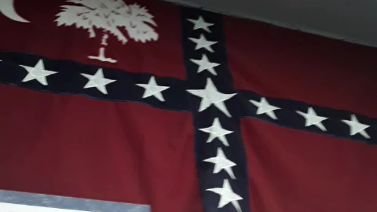 S.C. Sovereignty Flag