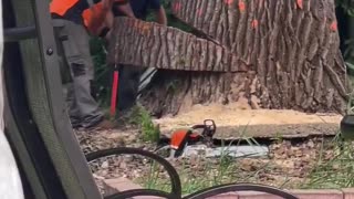 Miscalculation — But Where Exactly? 😂
