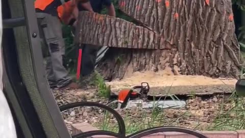 Miscalculation — But Where Exactly? 😂