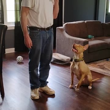 Hi I'm George .Practice Practice Practice