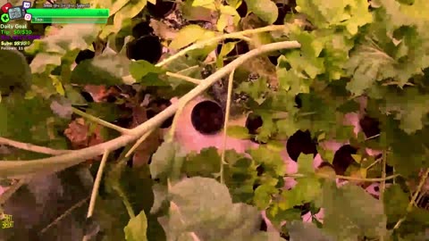 Building the MOST ADVANCED FARMSTEAD IN IRL REMOTE Isolated ALASKAN Village in the middle of the WOODS FOLLOW OUR JOURNEY | !Real !Homestead