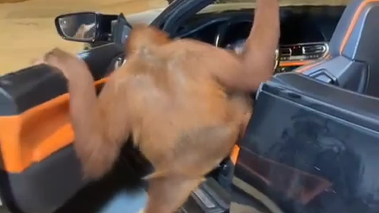 Typical BMW owner 😅