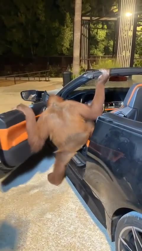 Typical BMW owner 😅