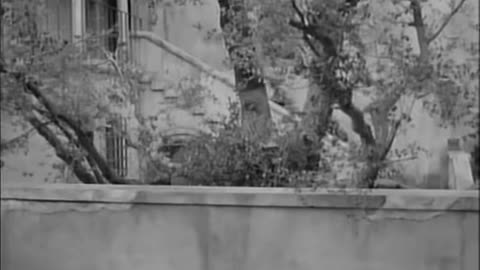 COMBAT! s.3 ep.12: A Rare Vintage (1964)