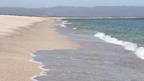 El Eje Intestino Cerebro, El Nervio Vago y El PH Intestinal ES