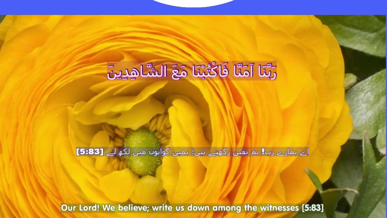 40 Rabbana Duas (Dua no 18)