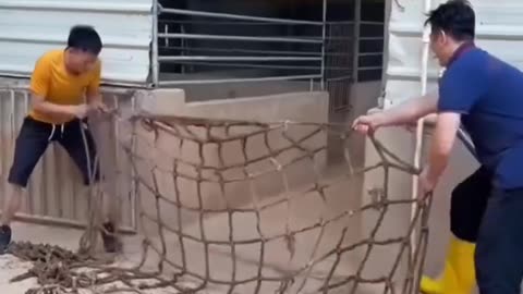 Amazing job