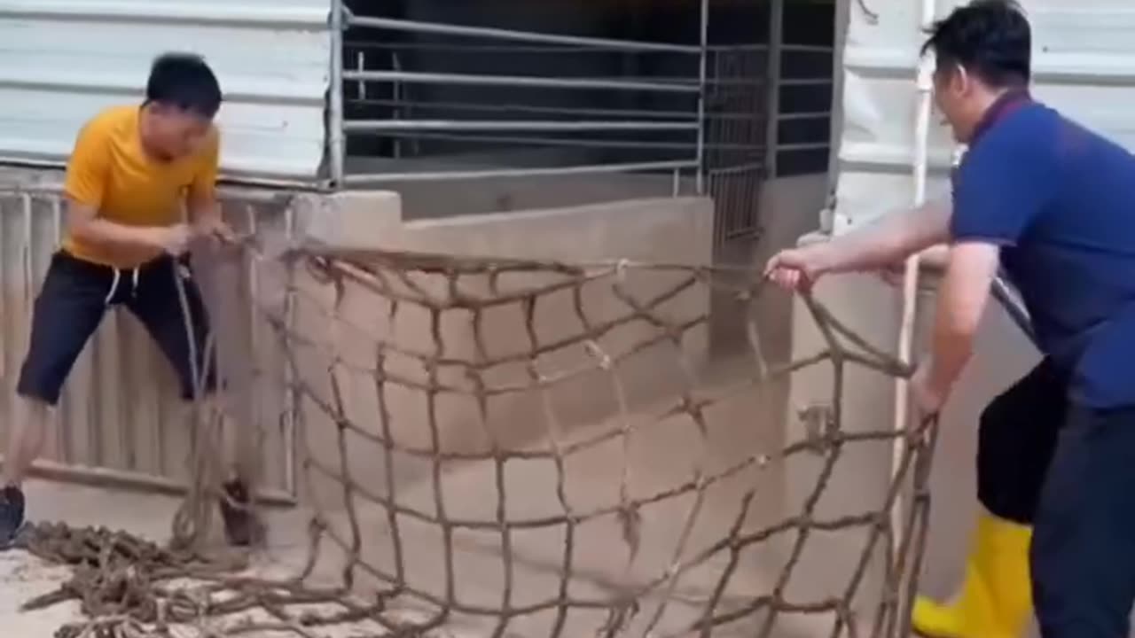 Amazing job
