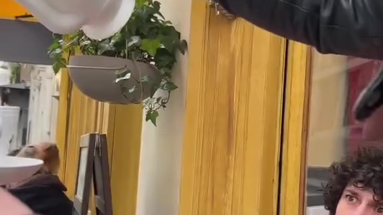 Levitation is a common thing...