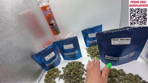 Dankin with the Flamingos Get Super Baked with Shop Hello Mary!!