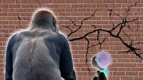 BEST. PONZINOMIE. EVER: THE DAY AFTER Wal Mart devient BLACK PILL 👈