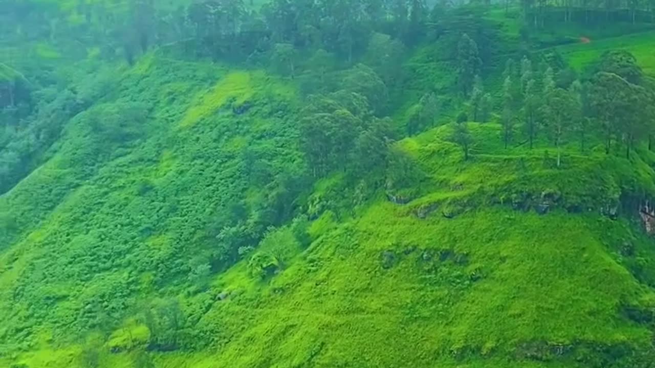ලංකාව කියන්නේ කොළපාට පාරාදීසයක්