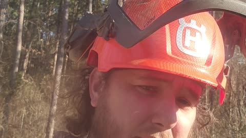 How to maximize profit for your logs!