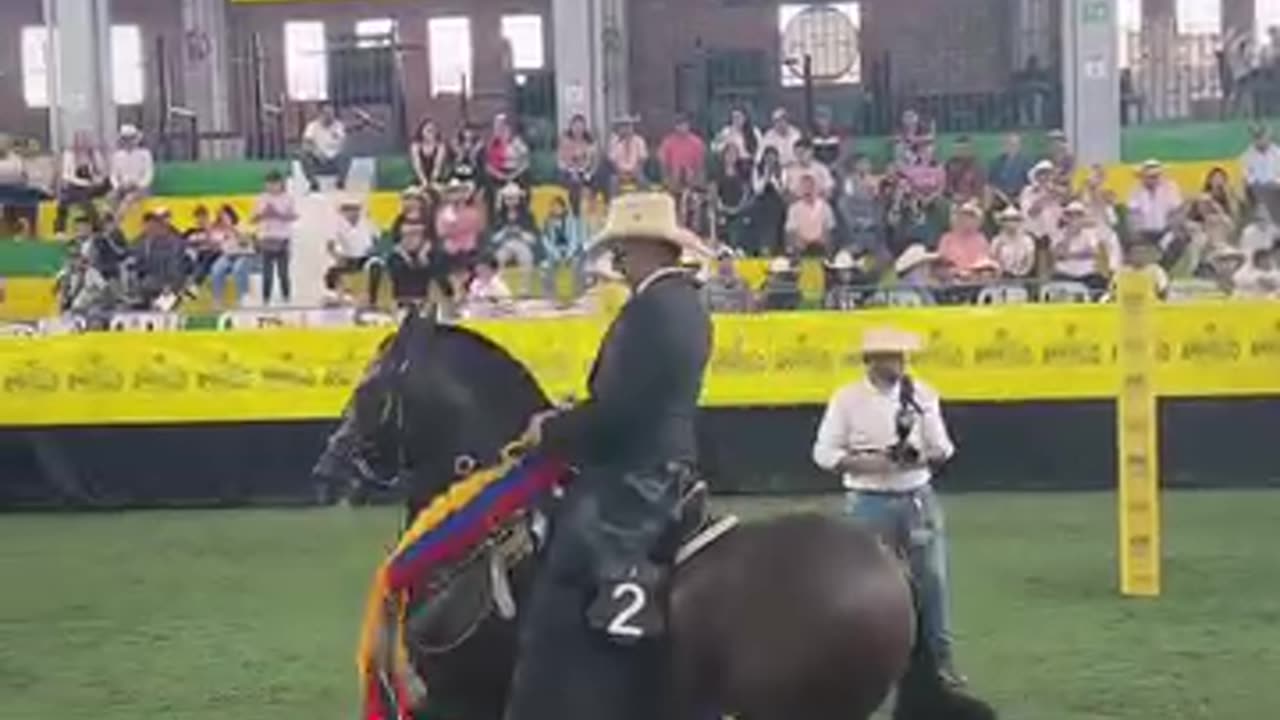 Horse 🐴🐎 after training........😀💪