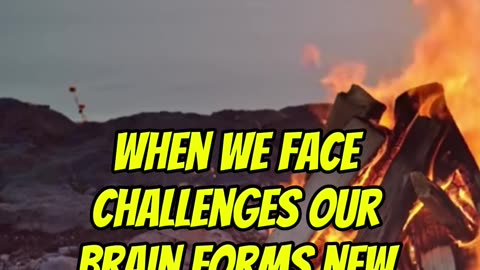 This Is What Happens to Your Brain When You Level Up