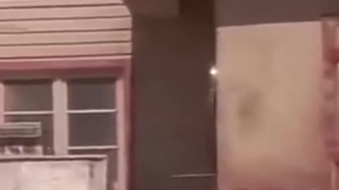 o que fazer com os corpos_