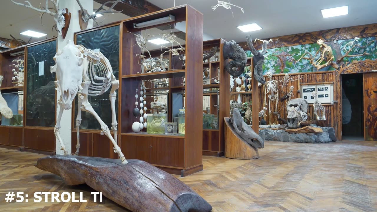 Top 10 Things to Do in Honolulu - Oahu | 4K Best Travel Planner Beaches, Adventure & Must-See Spots!