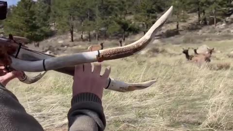 Antler Instrument