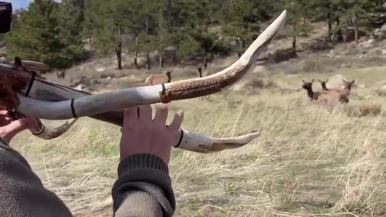 Antler Instrument