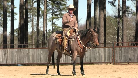 How to Teach a Horse to Rollback, Part 4