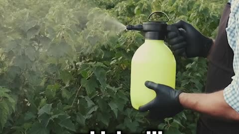 Please Don't Drink Chlorinated Water