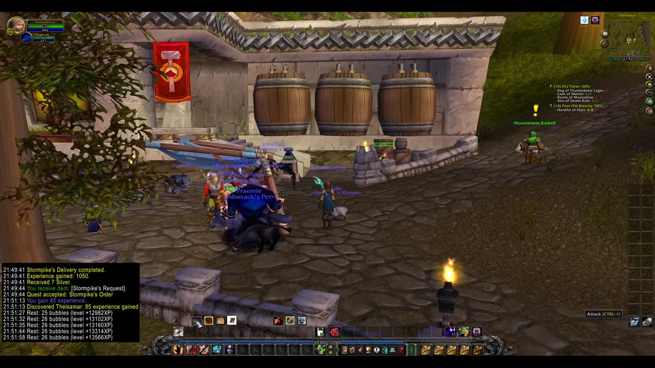 Turtle wow - Summoner leveling - rentawarlock - part 4