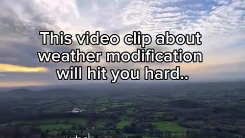 Elite killing off the 🐝 and poisoning our air/land/water/food