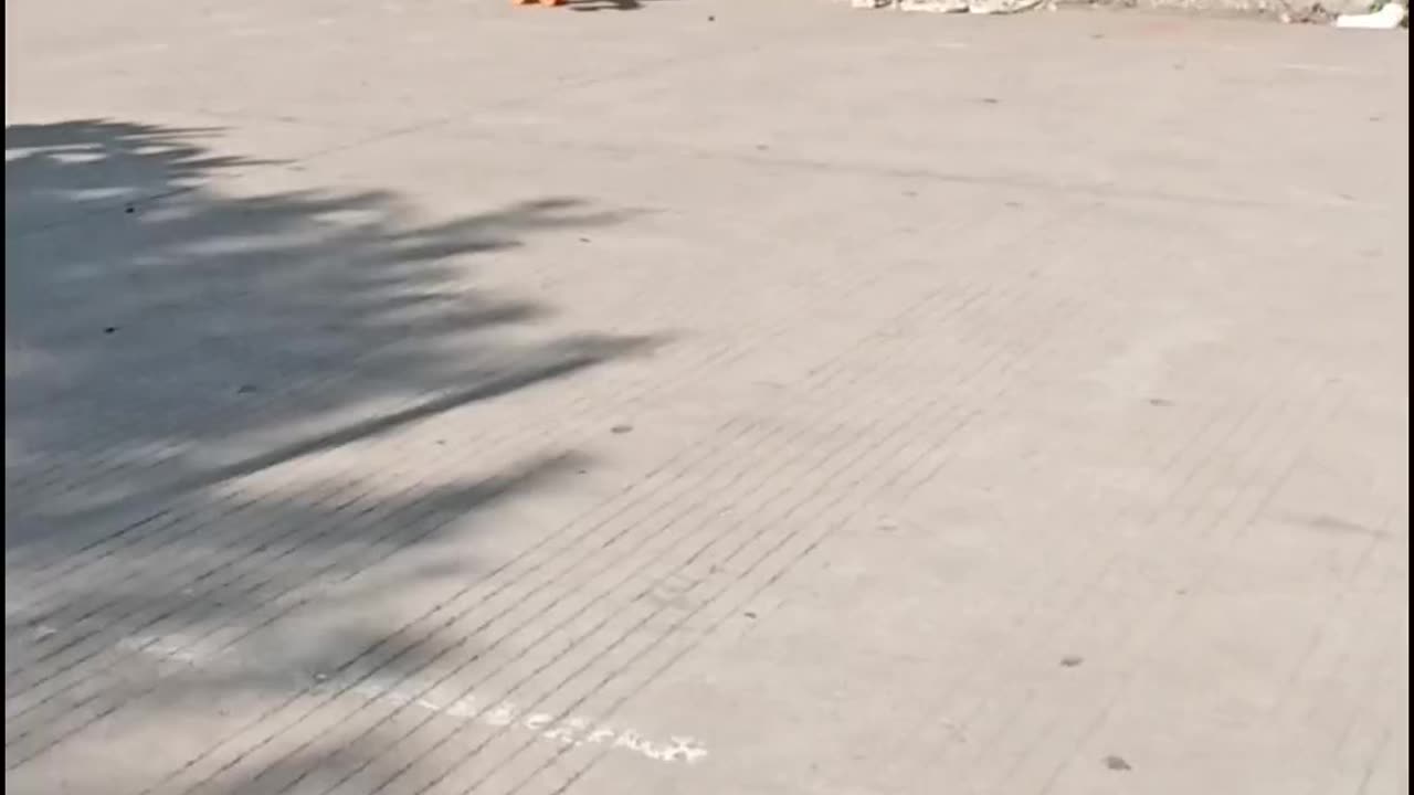 Skating Practice | Skating | #rumble #shorts #rumble studio #skating #skater #Harshalidhankhola