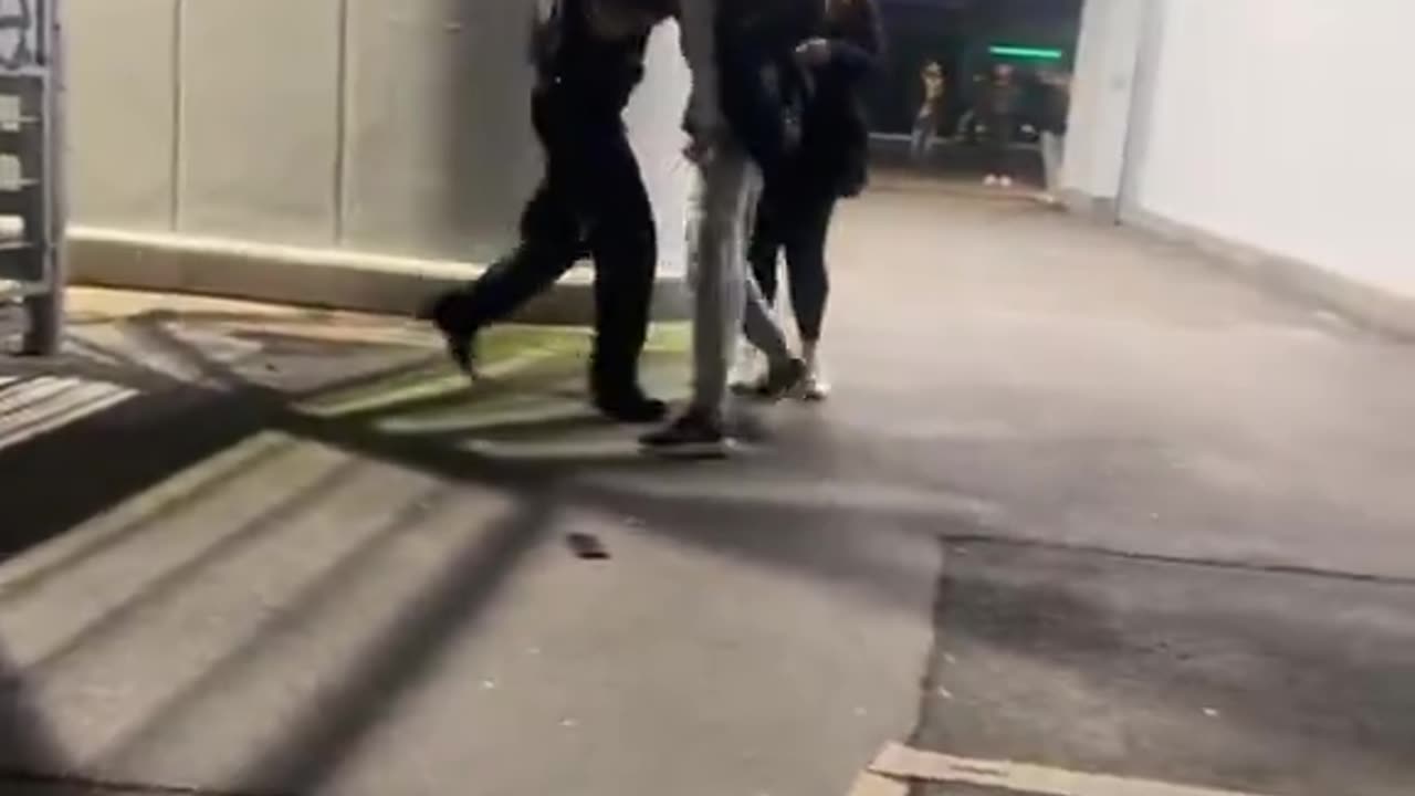 Arrest made in Germany. Why isn't anyone helping the poor police officer? 🤡