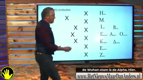 Het immuumsysteem zo duidelijk heb je het nog niet gehoord!