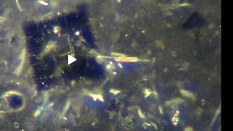 Self Assembly Structures in Covid-19 Vaccines Mark of the Beast