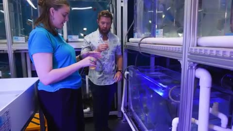 Private Tour of Australia’s Best Aquarium please follow my channel