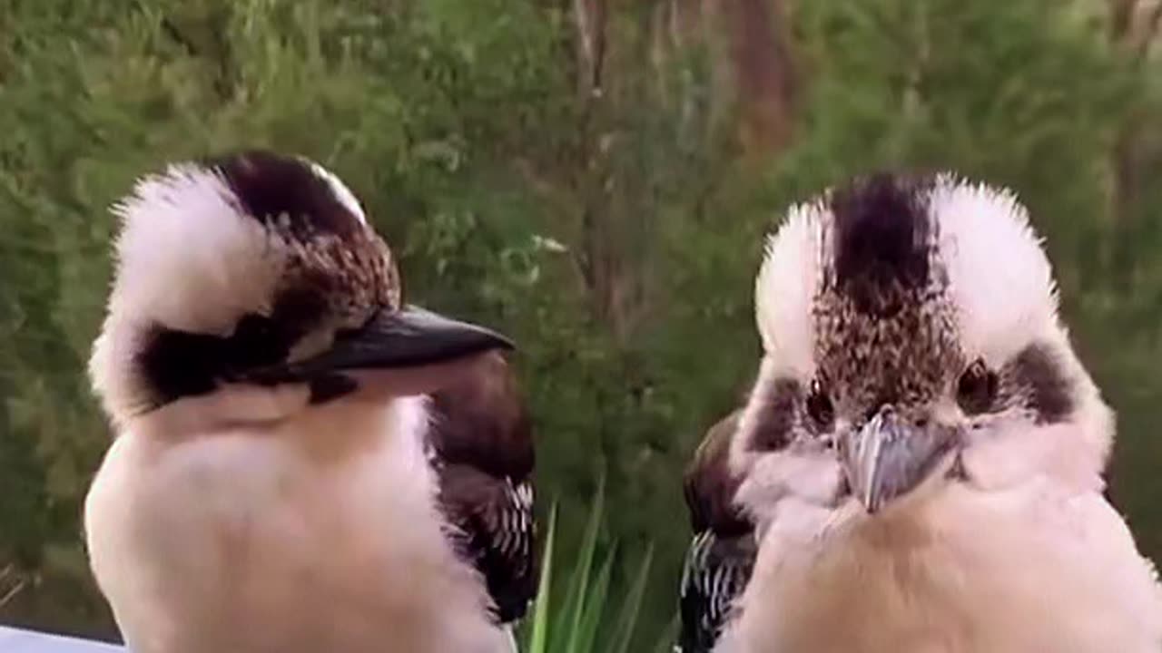 So adorable! 🥰