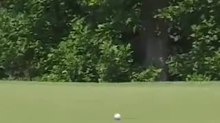 😂🤣 That's Some Happy Gilmore Right There! | FunFM