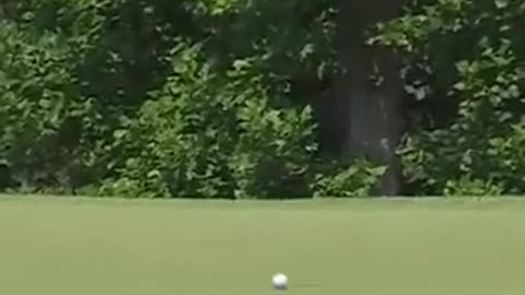😂🤣 That's Some Happy Gilmore Right There! | FunFM