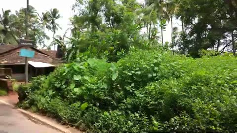 Mapusa to Anjuna Beach Goa by Bus