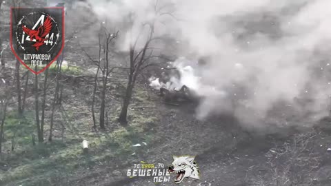 "Mad Dogs" Demilitarize the 42nd Brigade of the AFU