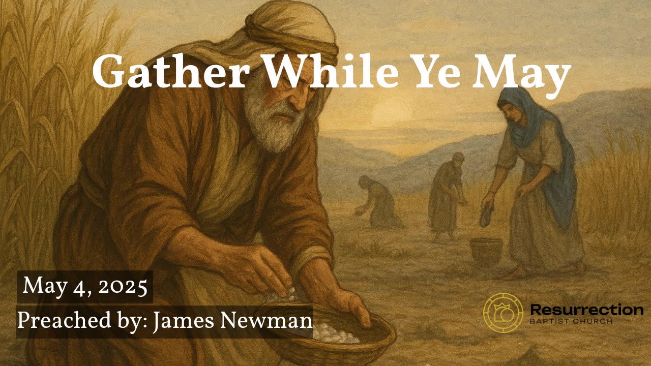 Gather While Ye May