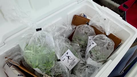 Saturday Farmers Market at the South County Seasonal Farmers Market 5-3-25