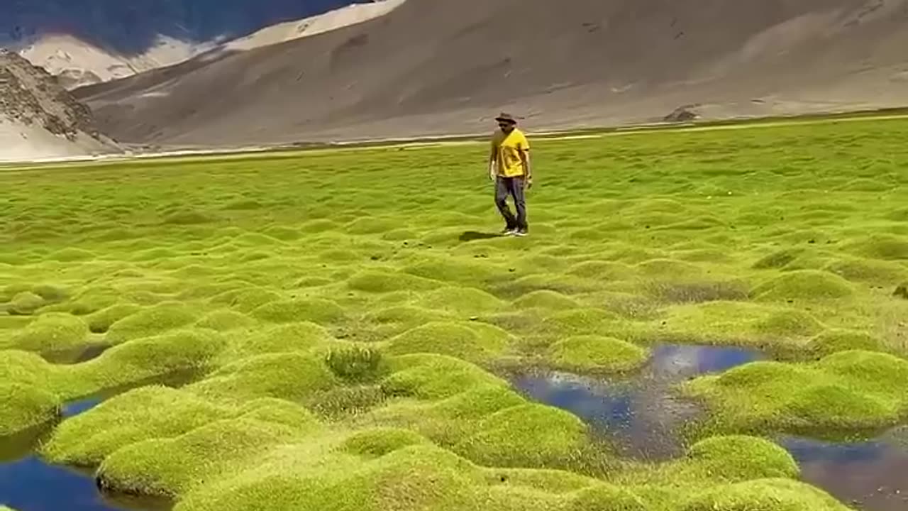 The most beautiful 7 place in 🇮🇳