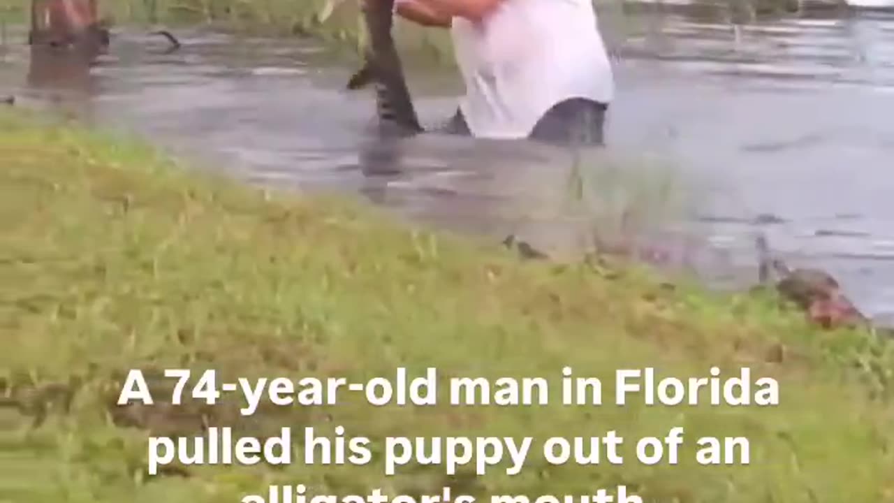 Florida is crazy