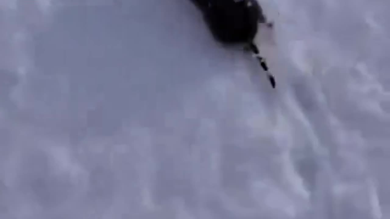 Polish People When Animal