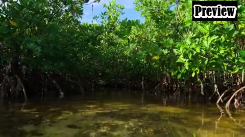 Our Planet | One Planet | FULL EPISODE