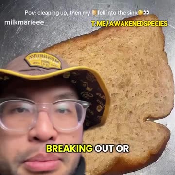 Remember back when bread had 3 ingredients and no one was allergic to it?