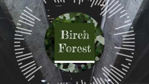 "Birch Forest" - Track by Robert Kovarik (Preview) #orchestral #classic #music #ballads