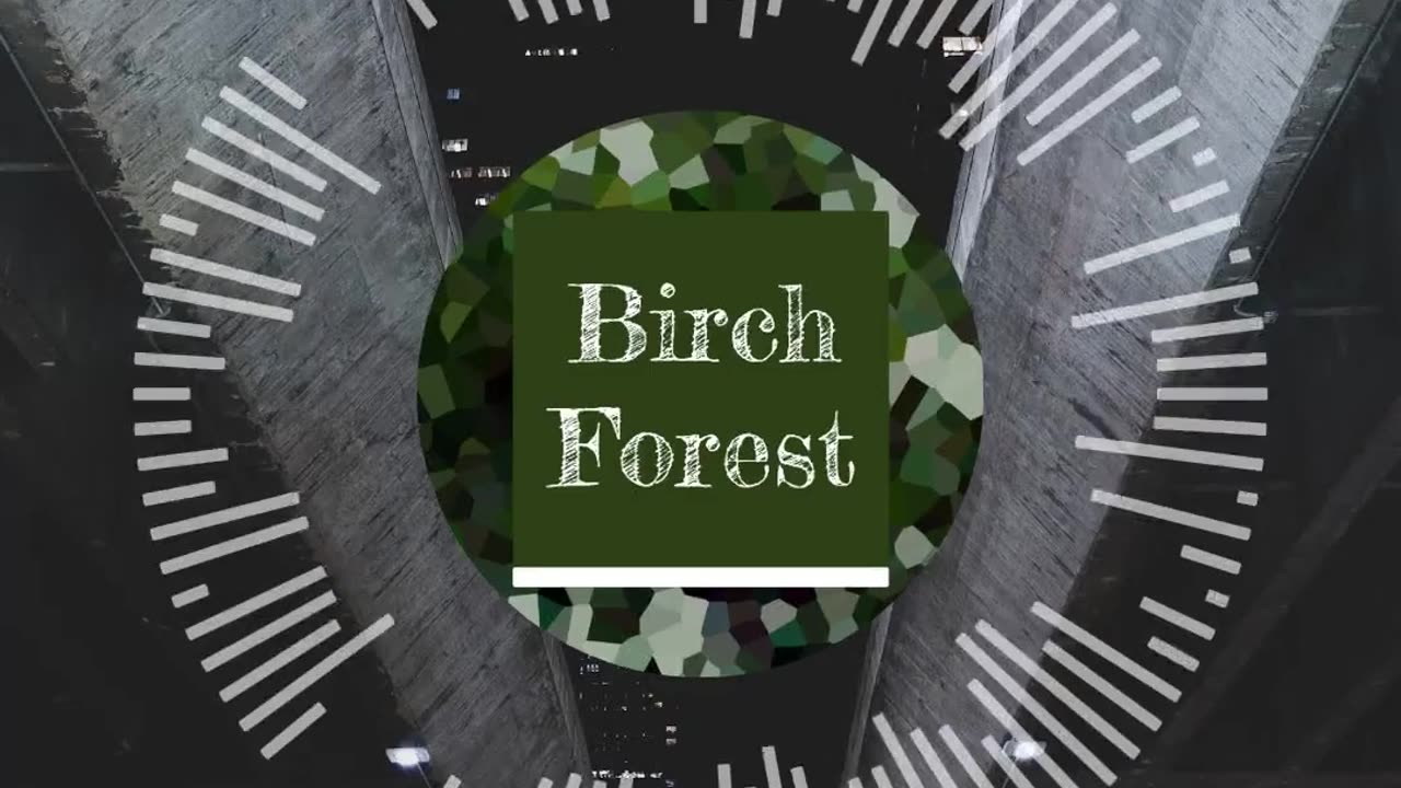 "Birch Forest" - Track by Robert Kovarik (Preview) #orchestral #classic #music #ballads
