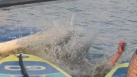 How Not to Drown an iPhone the Terminator Technique