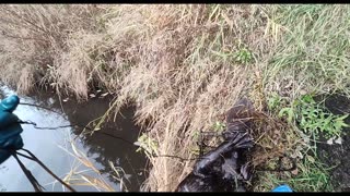 October 24, 2025 - Part 1 (Checking The Regular Line)