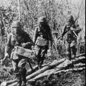 Leadership in the marsh