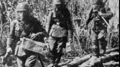 Leadership in the marsh